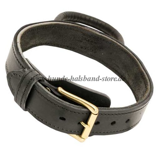 Agitation Leather Collar with Handle 