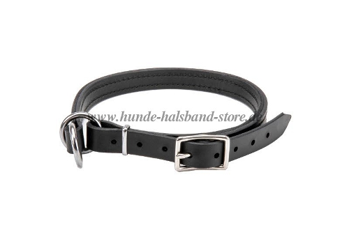 stilvolles Halsband Hund