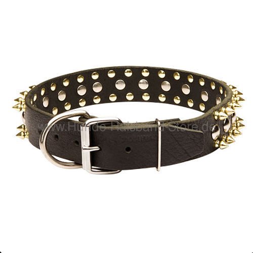 Halsband
Leder mit Schmuckteilen