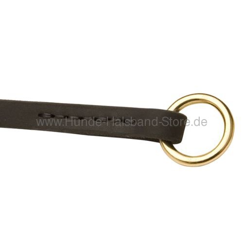 Messingring am Halsband