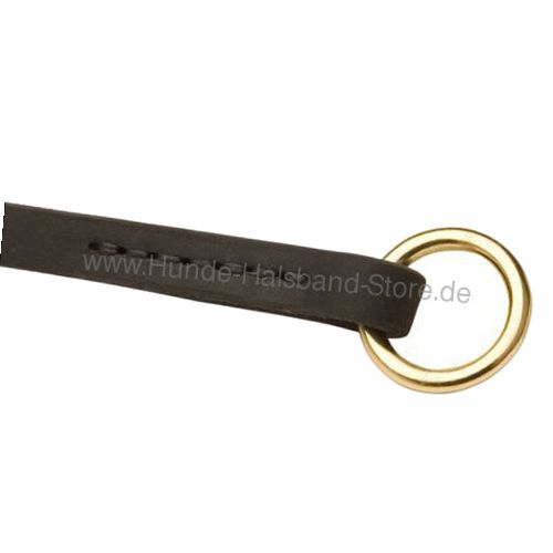 Hundehalsband mit Messing O-Ringe 