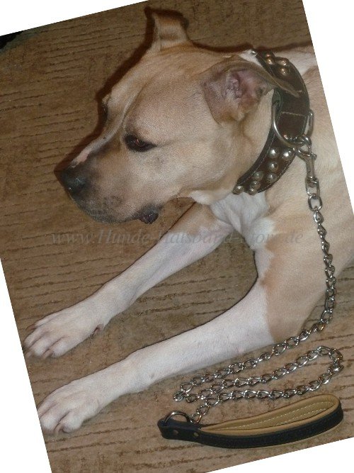 Chain Leash by Herm Sprenger with Padded Leather Handle