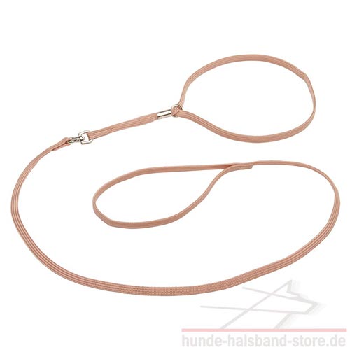 praktische
Nylon Leine und Halsband