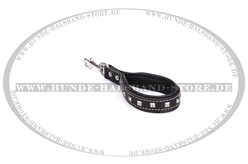 30 cm lange
Hundeleine 