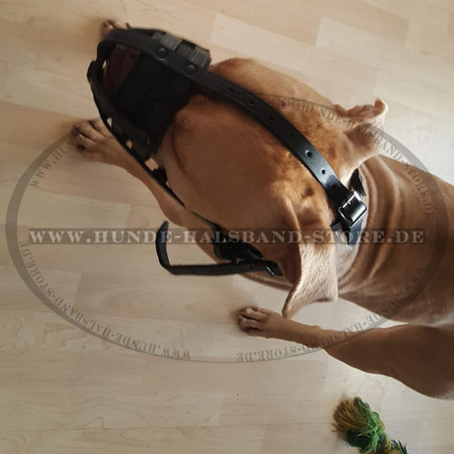 Hunde Maulkorb aus echtem Leder