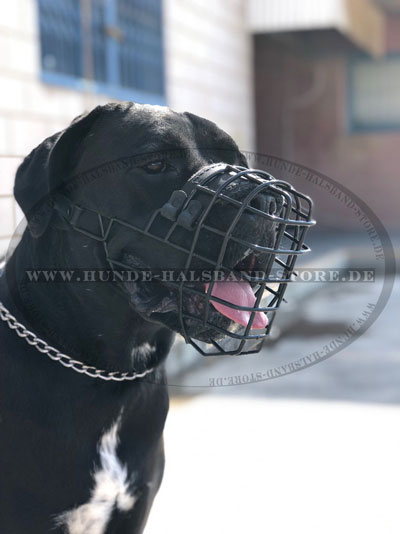 Hunde
Maulkorb mit Gummi Bedeckung