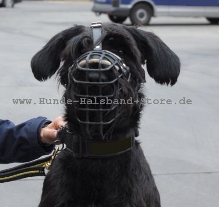 Hunde Maulkorb fest