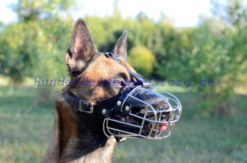 Maulkorb aus Draht am Hund