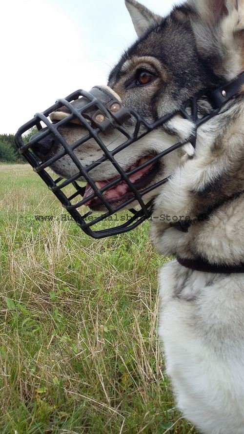 Hunde
Maulkorb bequem