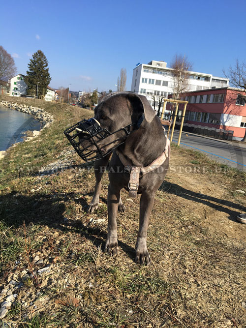 Hunde
Maulkorb mit idealer Luftzirkulation