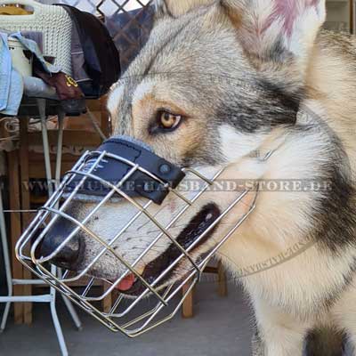 Hunde Maulkorb aus Draht am Zero