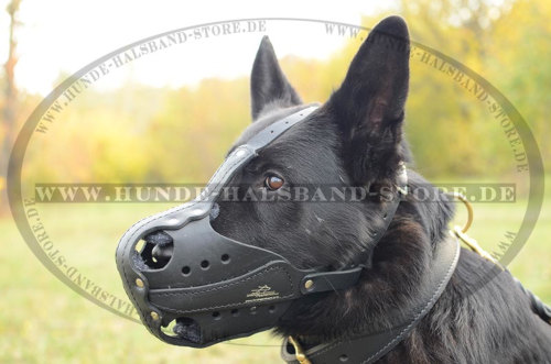 Hunde Maulkorb belüftet am Hund