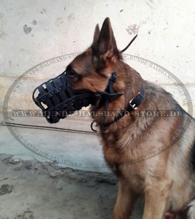 Hundemaulkorb aus  Leder am Schaeferhund