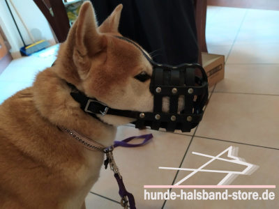 Hunde Maulkorb von FDT