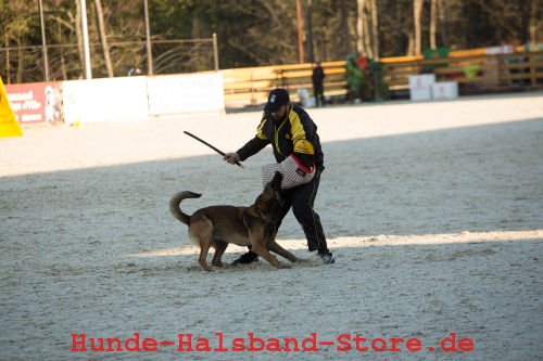 Fester Stock für Training