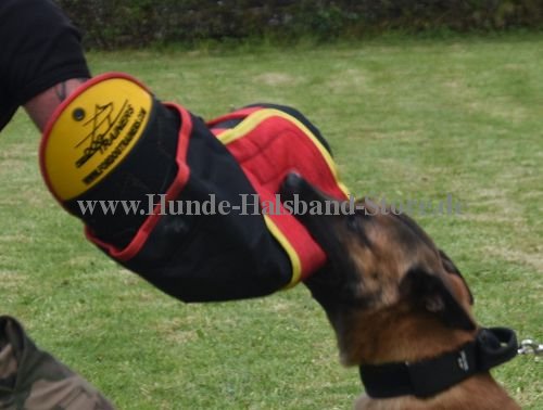 Hunde Training
Zubehör