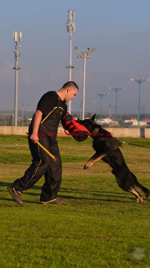 Hunde
Training Hetzarm in Anwendung