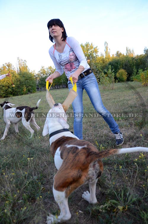 Leder Beisswurst mit Nylon Handschlaufen