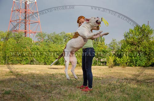 feste Beisswurst aus French Linen fuer Training und Allatg