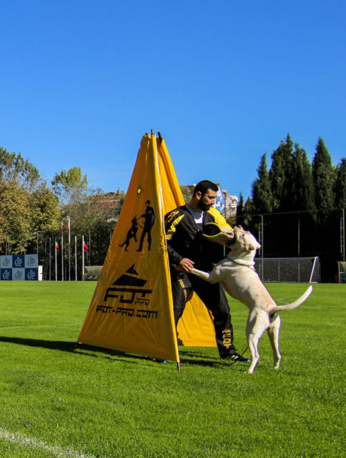 Schutzhund
Training Versteck von FDT