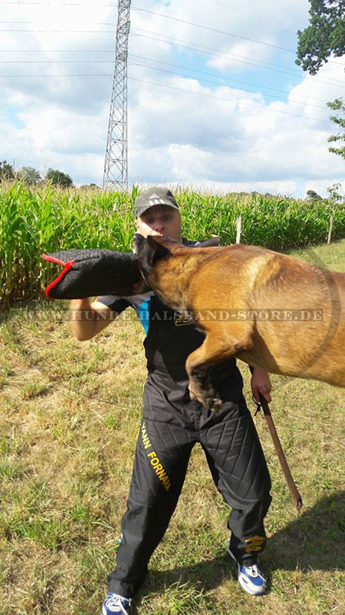 Fordogtrainers Hetzarm fuer Training von Hunde