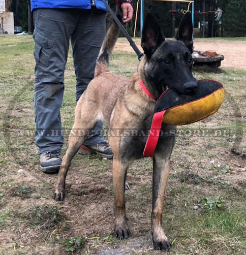 French Linen Apportierwurst fuer Hunde