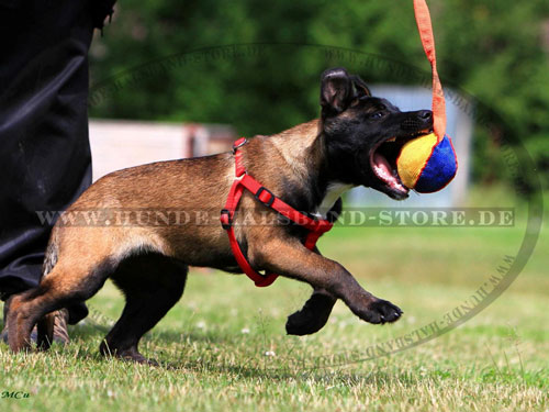 FL Ball mit Nylon Handschlaufe 