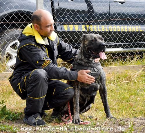 Fordogtrainers leichter Schutzanzug