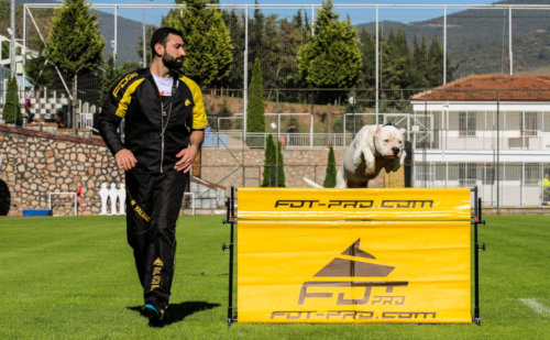 Fordogtrainers
Sprung Hürde