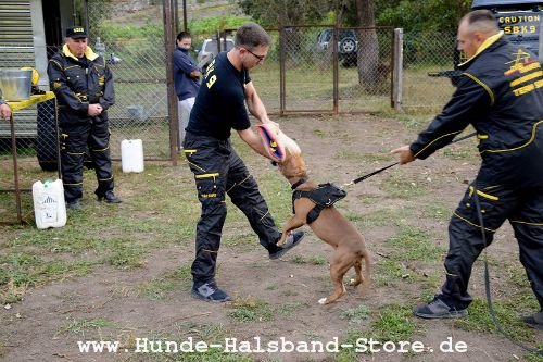 Fordogtrainers neuer Schutzanzug