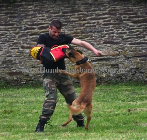 Hunde Training
Schutzarm wunderbar
