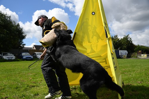 Hunde
Training Hetzarm mit Jute Verkleidung