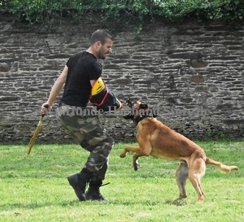 Hunde Training
Schutzarm