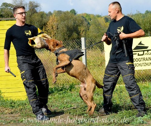 Doppelschichtiger Überzug aus hochwertiger Jute