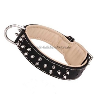 Exklusives Halsband mit vernickelten Spikes