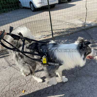 Hundegeschirr aus Nylon fuer Assistenz Hunde