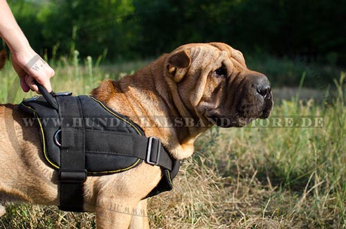 Hundegeschirr fuer Shar Pei