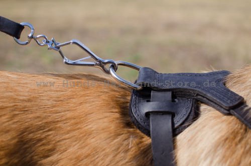 Hundegeschirr erstklassig