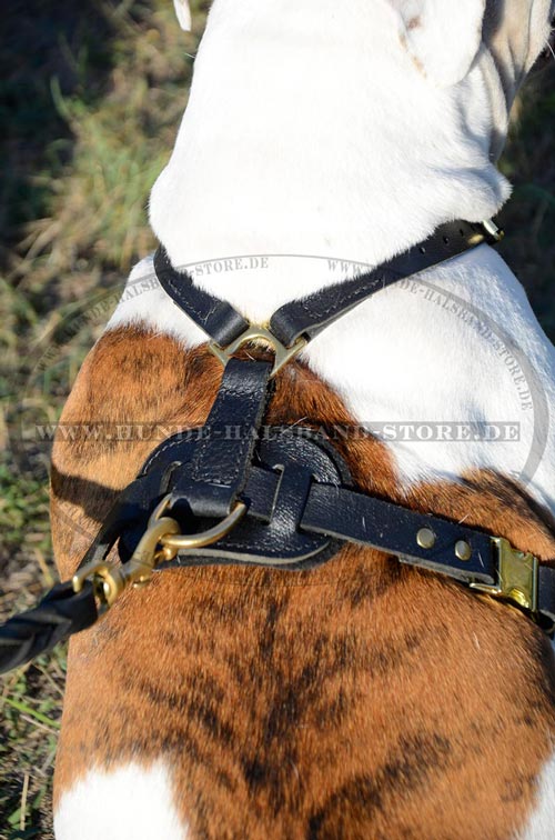 bequemes Hundegeschirr Leder