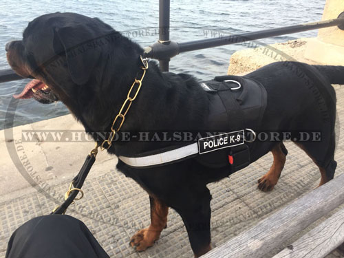 Hundegeschirr aus Nylon mt Logos