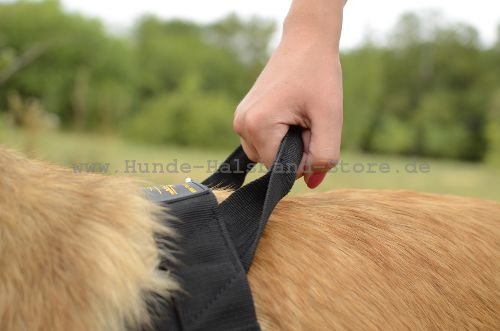 Nylongeschirr mit Klettlogos abnembaren