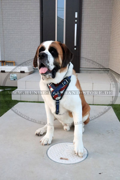 USA Flagge Brustgeschirr am Hund