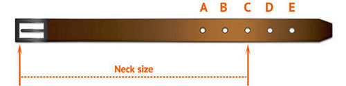 leather dog collar, studded dog collar