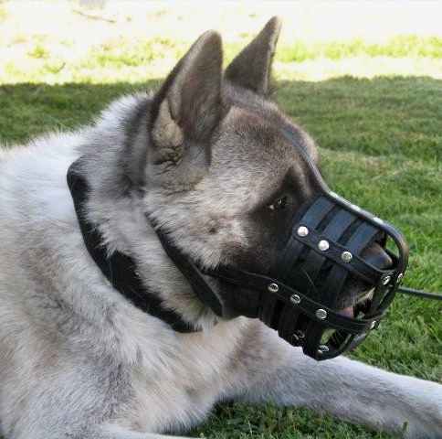  leather dog muzzle