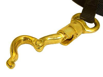 Nylon Leash with a massive solid brass snap