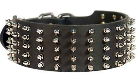 Bestseller-Hundehalsband aus Leder mit vernickelten Spikes