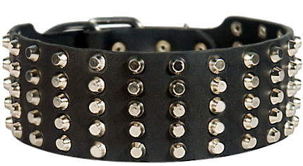 Extra wide studded 3 inch dog collar 