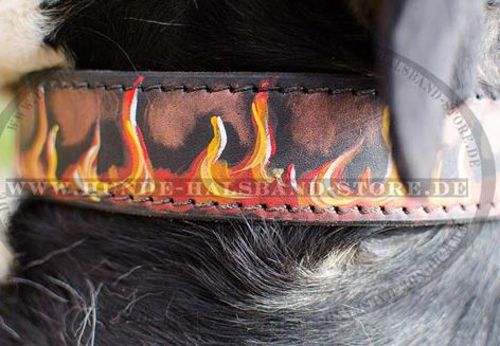 Bemaltes Lederhalsband für Schweizer Sennenhund☆☆☆ - zum Schließen ins Bild klicken