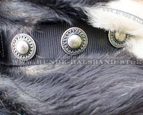 Hundehalsband aus Nylon mit Kreisen für Schweizer Sennenhund☉ - zum Schließen ins Bild klicken