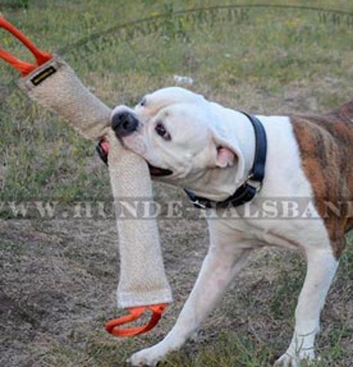 Jute Beißwurst für amerikanische Bulldogge